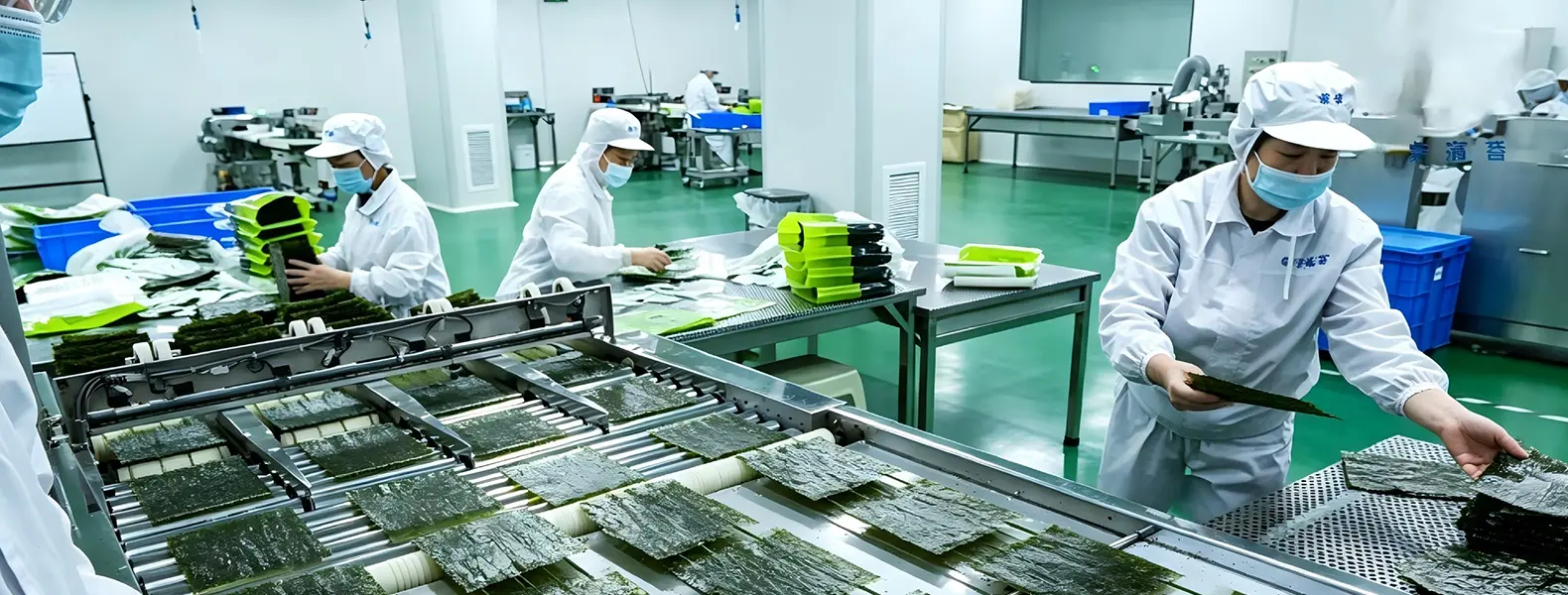 Quality System and Accreditation