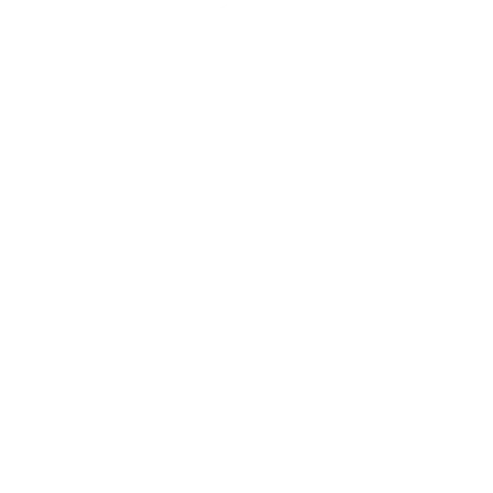 SINFO Food