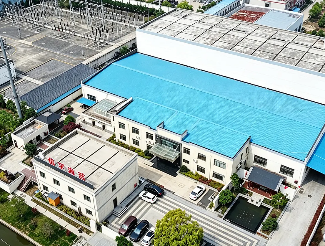 About Nan Tong Sinfo Food Co., Ltd (SINFO)